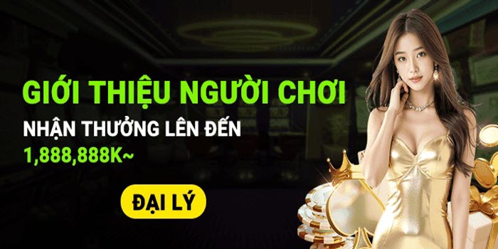 nha-cai-888new-net-2